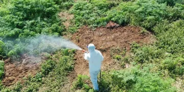 Aşırı sıcaklarda çıkan haşerelere karşı uzmanı uyardı