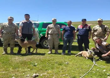 Yaralı yaban keçileri koruma altına alındı