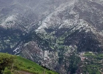 Artvin’de dolu yağışı