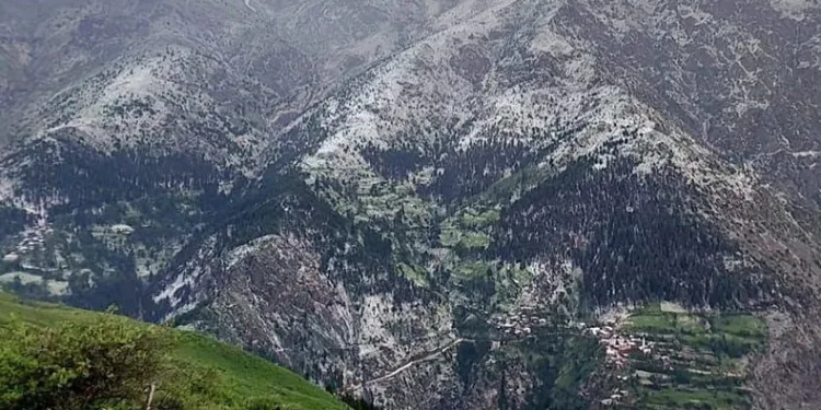 Artvin’de dolu yağışı