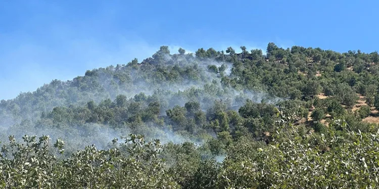 Diyarbakır’da orman yangını söndürüldü