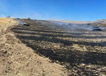 Çankırı’da tarla yangını