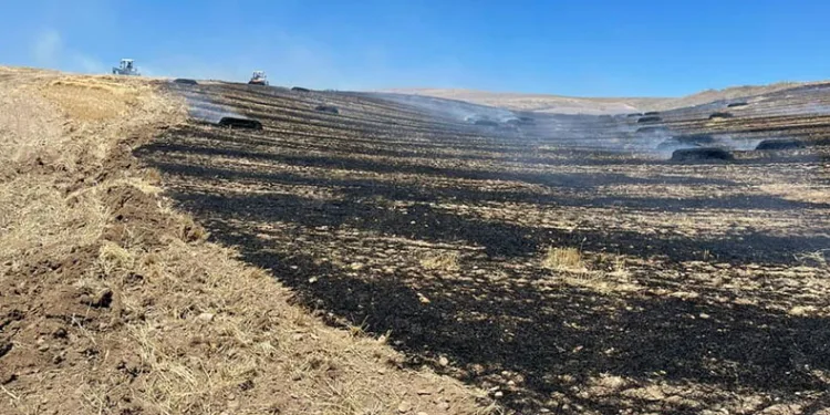 Çankırı’da tarla yangını