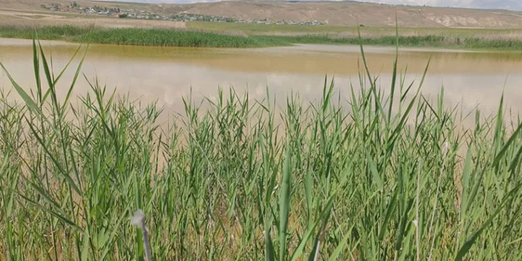 Kuraklık nedeniyle kuruyan göl doldu