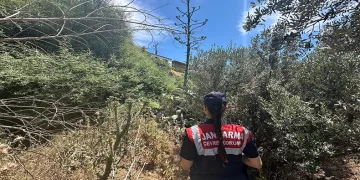Aydın’da endemik türlere Jandarma koruması