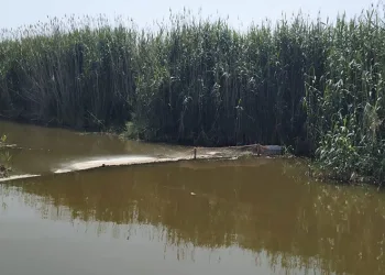Didim’de hayalet ağ operasyonu