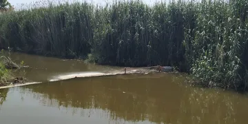 Didim’de hayalet ağ operasyonu