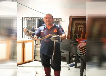 Eve giren yılanı itfaiye ekipleri yakaladı