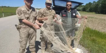 Van’da kaçak avcılara para cezası