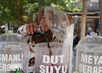 Dut ağacının altında, dut suyu satıyor