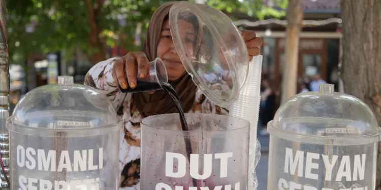 Dut ağacının altında, dut suyu satıyor