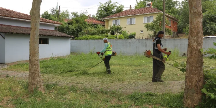 Serdivan’da yaz temizliği devam ediyor