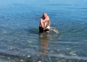 Balık avına martı yakalandı
