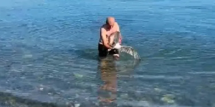 Balık avına martı yakalandı