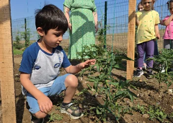 Öğrenciler doğayı ve sebzeleri tanıyor