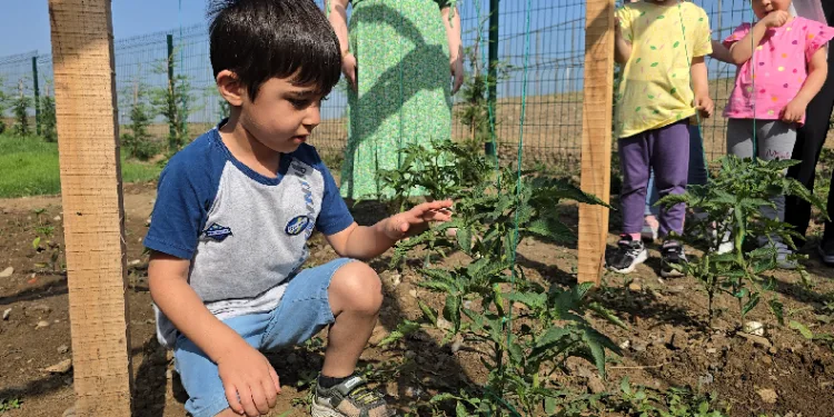 Öğrenciler doğayı ve sebzeleri tanıyor