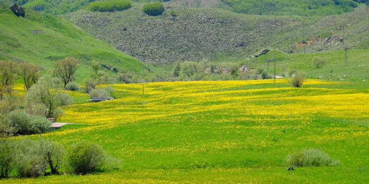 Sarıçiçek Köyü'nde 20 günlük doğa şöleni başladı