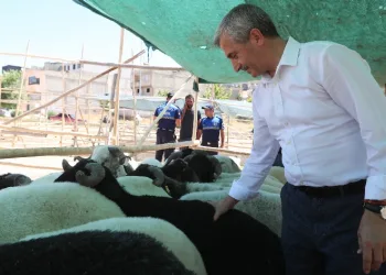 Tahmazoğlu'ndan Kurban Bayramı'nda vatandaşın yüzünü güldürecek hamle