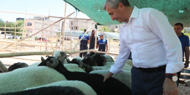 Tahmazoğlu'ndan Kurban Bayramı'nda vatandaşın yüzünü güldürecek hamle