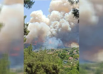 Menderes’te orman yangını