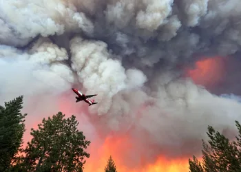California’nın en büyük orman yangını