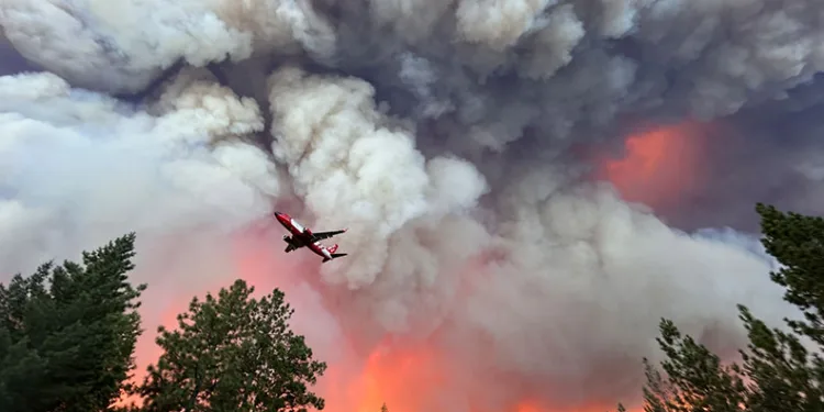 California’nın en büyük orman yangını