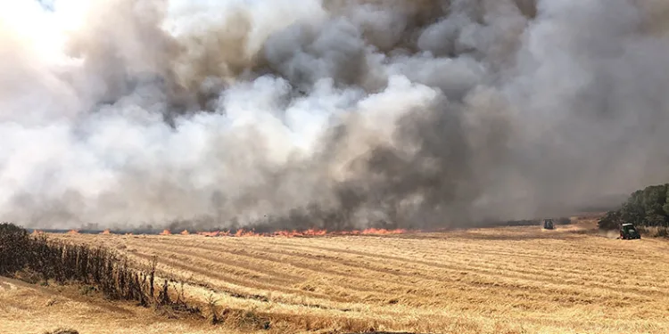 Çorlu’da bin 300 dönüm anız alev alev yandı