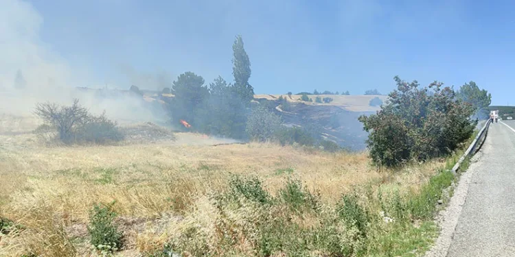 Ankara’da anız yangını kontrol altına alındı