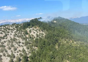 Bursa’da ormanlık alanda yangın çıktı