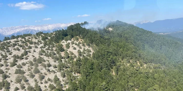 Bursa’da ormanlık alanda yangın çıktı