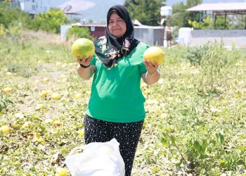 Son mahsulü hayrına depremzedelere bıraktı
