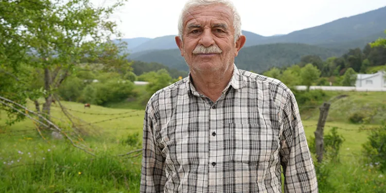 Artan domuz popülasyonu canlarından bezdirdi