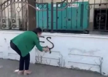 DEM Parti Batman Milletvekili Valilik duvarına “önce Kürtçe” “önce dil” yazdı