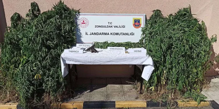 Jandarmanın eş zamanlı uyuşturucu operasyonunda 3 tutuklama