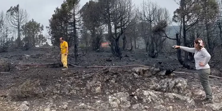 Balıkesir’deki yangının ilerlemesi durdu