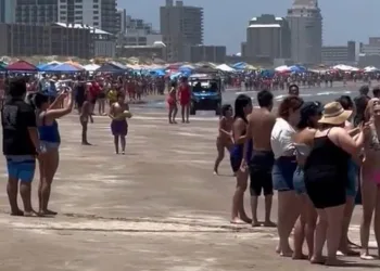 ABD’de plajda köpek balığı saldırısı