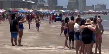 ABD’de plajda köpek balığı saldırısı