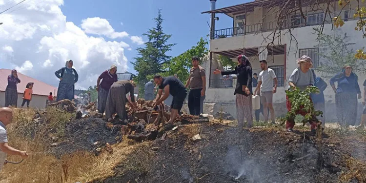 Kamyonun kopardığı elektrik teli yangına neden oldu