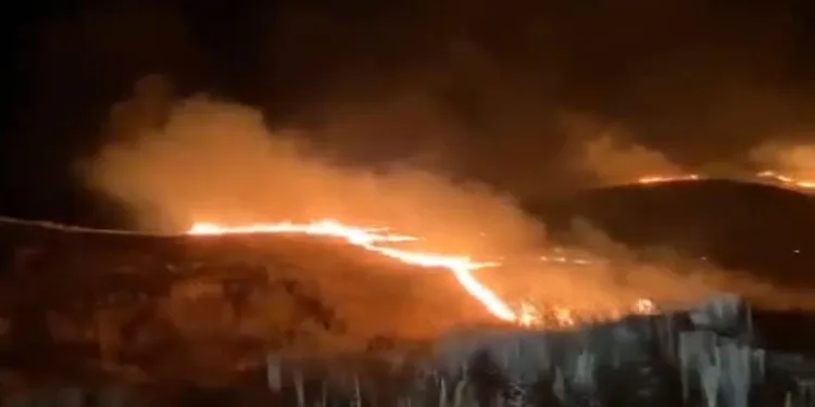 Siirt’te korkutan yangın