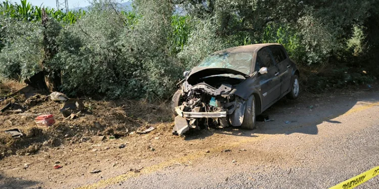 Yol kenarındaki ağaca çarpan otomobilin sürücüsü hayatını kaybetti
