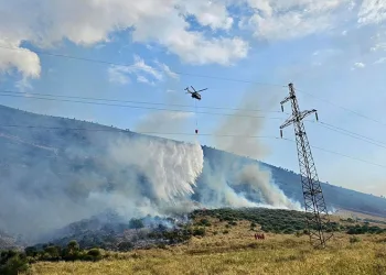 Arnavutluk’un güneyinde orman yangınları