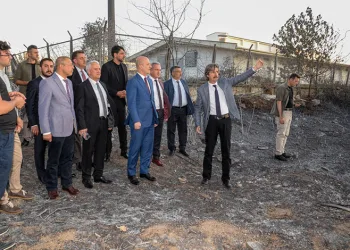 Erol Özvar: “Bu ormanlar kolay kolay yetişmiyor”
