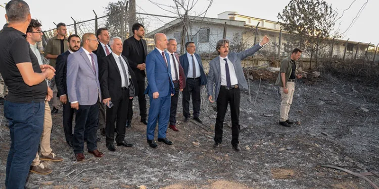 Erol Özvar: “Bu ormanlar kolay kolay yetişmiyor”