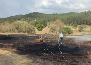 Mangal ateşi 2 dönüm araziyi kül etti