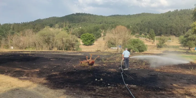 Mangal ateşi 2 dönüm araziyi kül etti