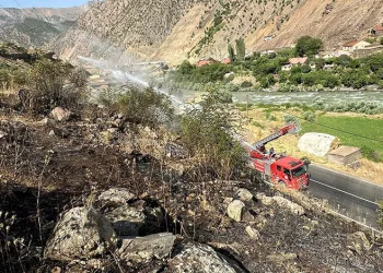 Hakkari-Van kara yolu yakınında anız yangını