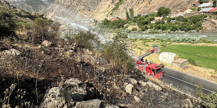 Hakkari-Van kara yolu yakınında anız yangını