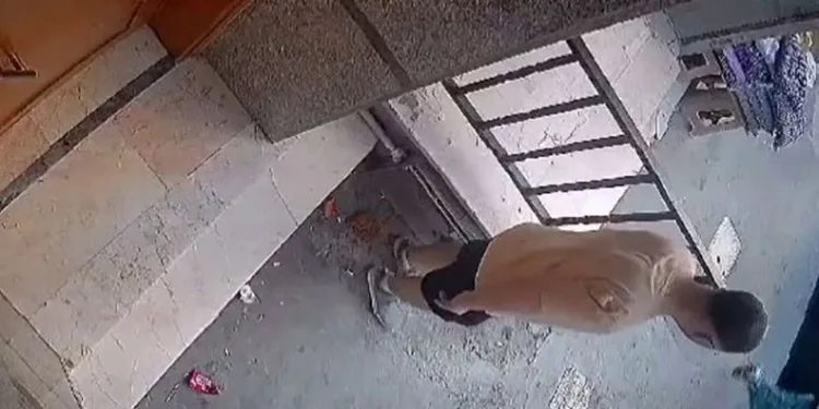 Apartmanın önüne tuvaletini yaptı