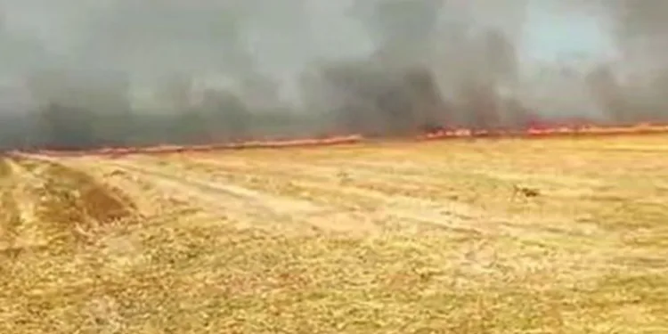 Silivri’de otluk alanda çıkan yangın büyük paniğe neden oldu