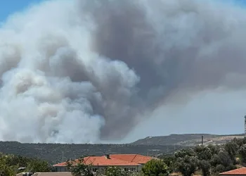 Çeşme’deki orman yangınında 3 kişi hayatını kaybetti